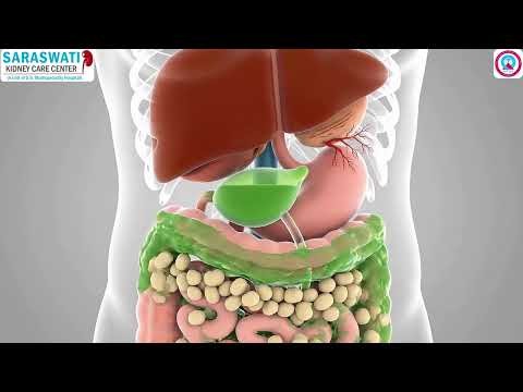 Kidney Disease Awareness Video