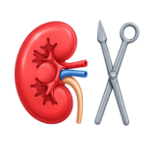 Kidney Hospital in Nagpur