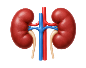Kidney Hospital in Nagpur