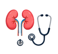 Kidney Hospital in Nagpur