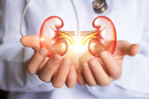Kidney Hospital in Nagpur